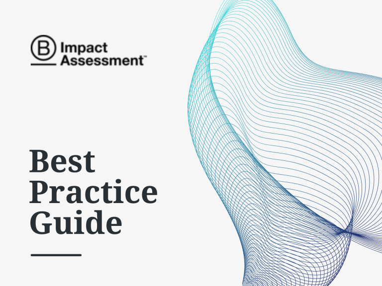 B Impact Assessment’s Best Practice Guide | Caspian Debt